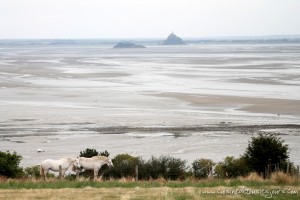 Balade en Normandie - ©www.cuisinedetouslesjours.com