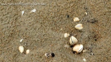 Temps pluvieux en bord de mer
