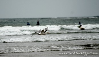 Temps pluvieux en bord de mer