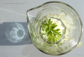 Detox water melon, geranium et citron vert