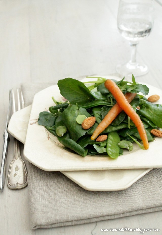 Salade de cresson et légumes primeurs - ©www.cuisinedetouslesjours.com