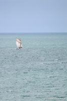 Balade en Normandie - ©www.cuisinedetouslesjours.com