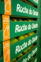 Press Tour Rocha Pear - ©www.cuisinedetouslesjours.com