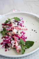 Ceviche de thon, brunoise de radis - ©www.cuisinedetouslesjours.com
