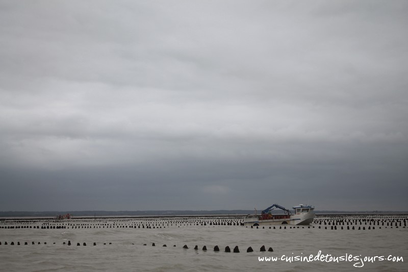 Moules de bouchots AOP de la Baie du Mont Saint Michel