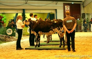 Salon Agricole Ohhh la vache ! – Pontivy