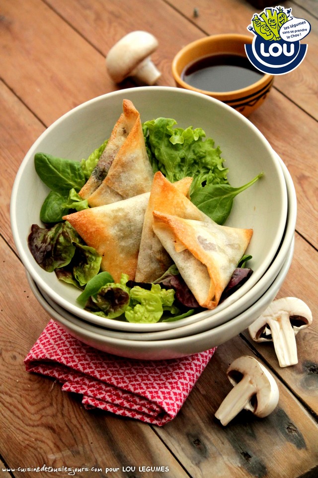 SAMOUSSAS DE BŒUFS CHAMPIGNONS ET CORIANDRE SAMOUSSAS DE BŒUFS CHAMPIGNONS ET CORIANDRE - Cuisine de tous les jours pour Lou Légumes