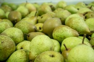 Press Tour Rocha Pear - ©www.cuisinedetouslesjours.com